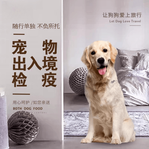 吴忠市宠物托运到哥伦比亚猫狗宠物入境规定和
