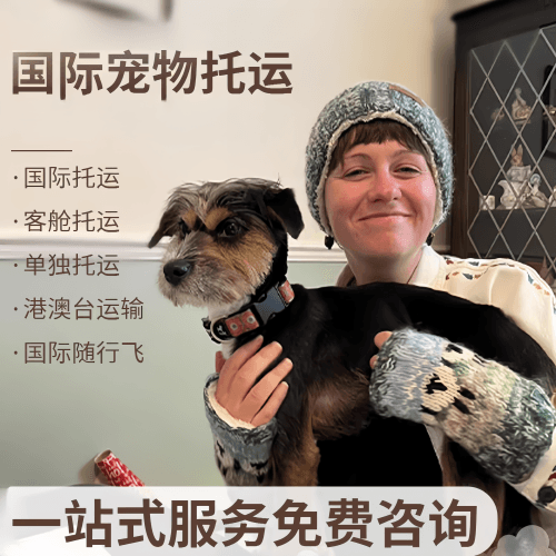 吴忠市国际宠物托运到阿根廷宠物入境规定和要