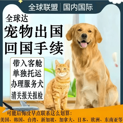 吴忠市宠物托运到柬埔寨宠物入境规定和要求
