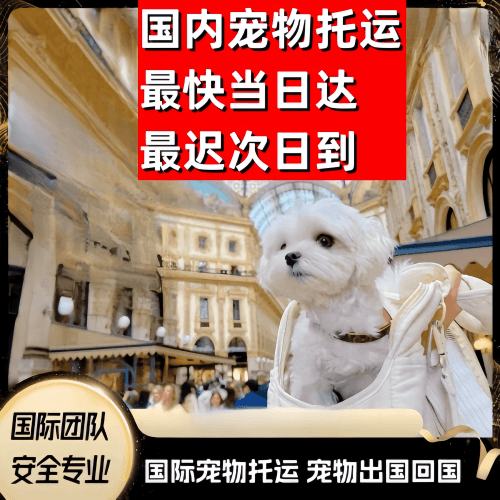 吴忠市到澳大利亚（澳洲）宠物入境规定和要求