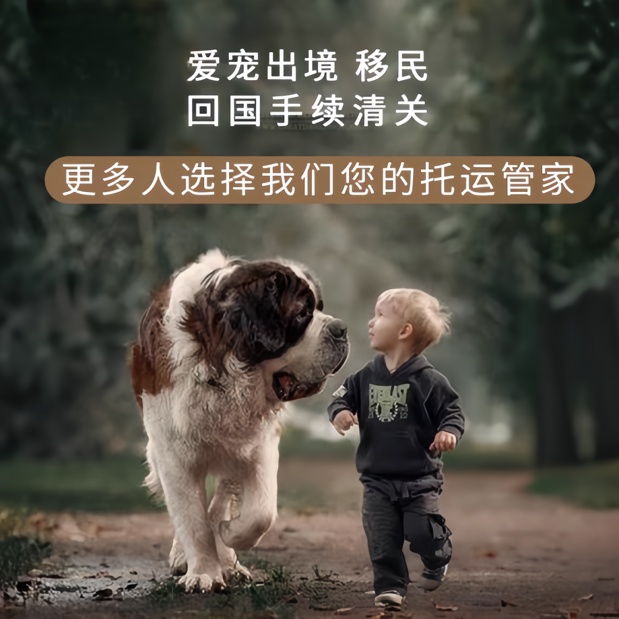 满财吴忠市宠物全球达宠物托运在遵守入境目的地政策的条件